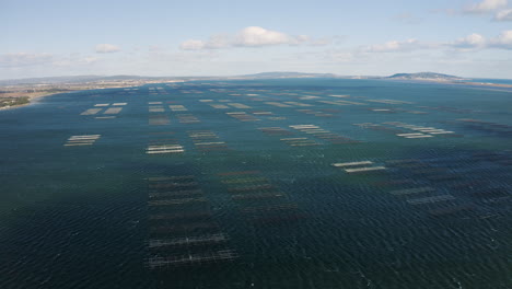 Aerial-view-over-endless-oysters-beds-shellfish-farming-in-the-Bassin-de-Thau